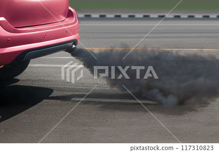Environmental Impact of Diesel Exhaust Fumes 117310823