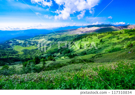 Kusatsu Shirane Mountain and Yoshigadaira Marsh Kusatsu Shirane Mountain and Yoshigadaira Marsh 117310834