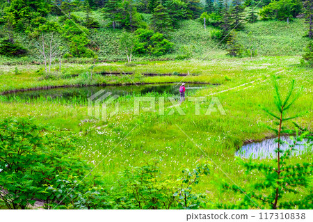 徒步旅行者穿過吉平濕地 117310838