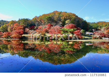 秋天蛇鼻子戲劇天堂（福島縣，本宮市） 117310861