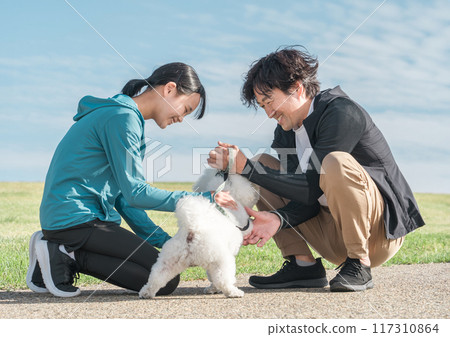 Parents and children playing with dogs in the park, walking dogs, exercising 117310864