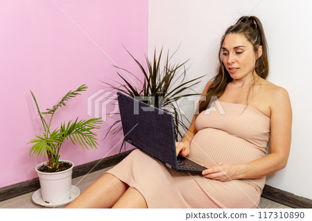 Pregnant Woman Working from Home with Laptop 117310890