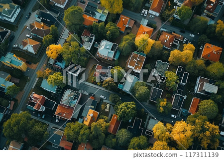 Aerial View of Residential Area in Autumn. Generative AI 117311139