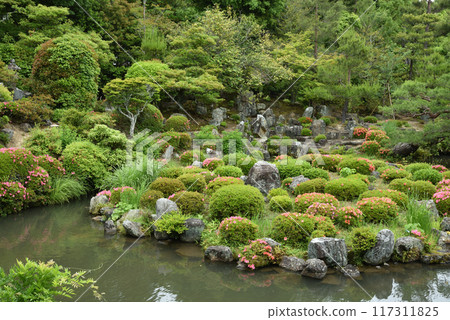 花園芙蓉池唐神院(京都市北區) 花園芙蓉池唐神院(京都市北區) 117311825