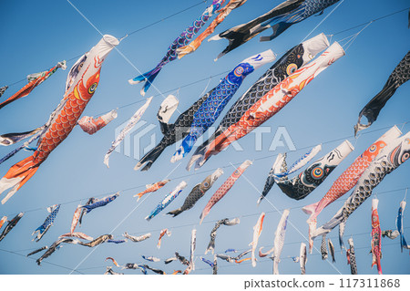 Many carp streamers swimming in the blue sky Many carp streamers swimming in the blue sky 117311868
