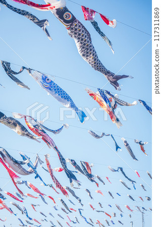Many carp streamers swimming in the blue sky Many carp streamers swimming in the blue sky 117311869
