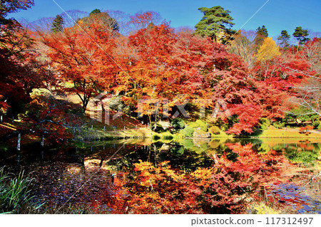 Ashigajo Park in autumn (Fukushima Prefecture, Nihonmatsu City) 117312497