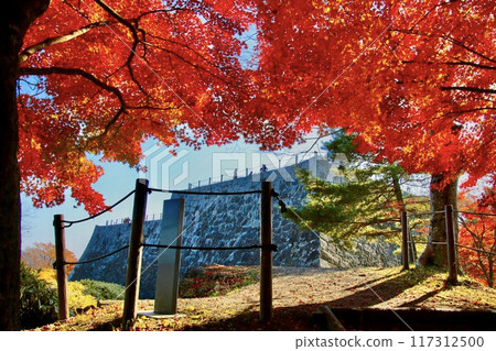 Ashigajo Park in autumn (Fukushima Prefecture, Nihonmatsu City) Ashigajo Park in autumn (Fukushima Prefecture, Nihonmatsu City) 117312500
