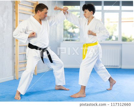 Underage boy and middle-aged man performing karate techniques in pair Underage boy and middle-aged man performing karate techniques in pair 117312660