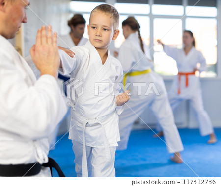 Boy at group training in gym practice karate punch block technique with trainer 117312736