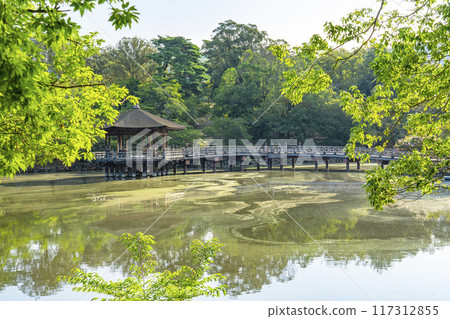 被新綠環繞的浮世堂 117312855