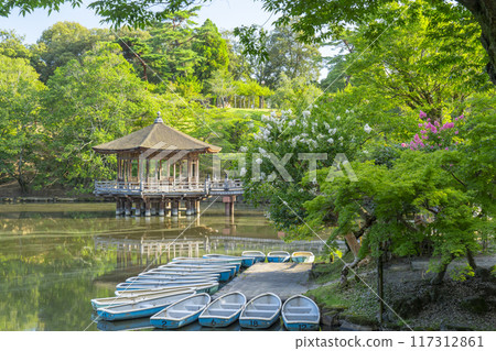 夏天的早晨浮世堂和紫薇花 夏天的早晨浮世堂和紫薇花 117312861