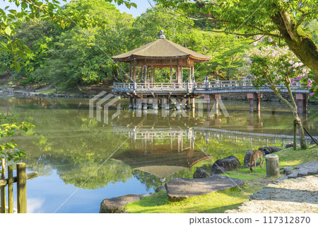 A Summer Morning with Crape Myrtle Flowers Blooming - Ukiyo-do and Deer 117312870
