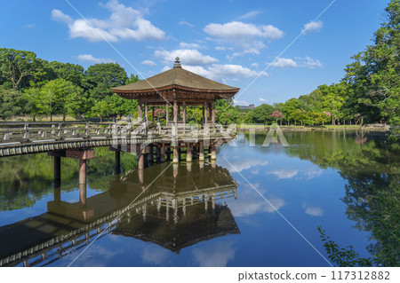 Summer Morning Nara Park Ukiyo-do Reflection 117312882