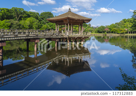 Summer Morning Nara Park Ukiyo-do Reflection 117312883