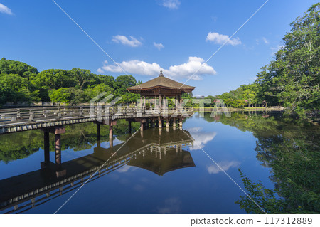 夏日早晨奈良公園浮世堂倒影 117312889