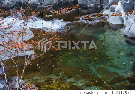 山澗裡流落的落葉 山澗裡流淌的秋葉 山澗裡流落的落葉 山澗裡流淌的秋葉 117312955