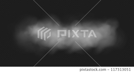 Fog or smoke cloud isolated on transparent background. Realistic smog, haze, mist or cloudiness effect. 117313051