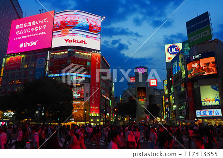 Shibuya Station Scramble Crossing during rush hour 117313355