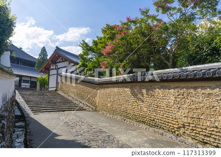 奈良東大寺二月堂左側大佛殿的後門 117313399