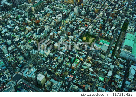 aerial view of residential building 117313422