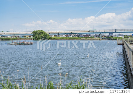 茨城牛沼 117313564