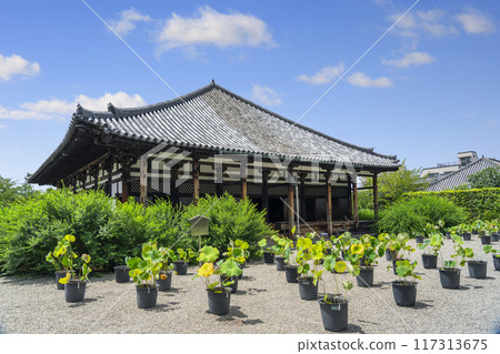 元興寺極樂坊本堂（奈良縣奈良市中院町） 117313675