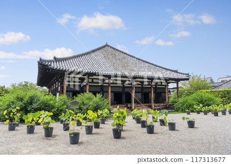 Gangoji Temple Gokurakubo Main Hall (Nakanomachi, Nara City, Nara Prefecture) 117313677
