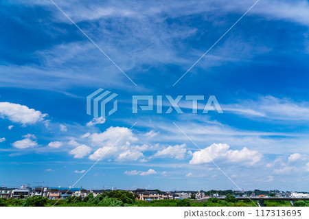 A residential area under a refreshing summer sky 117313695