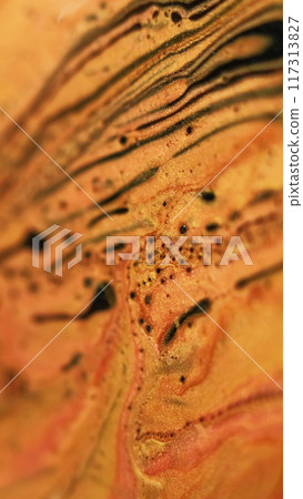 Shiny paint leak. Glitter wave. Defocused black golden color shimmering particles texture oil liquid stream flow abstract art background. 117313827