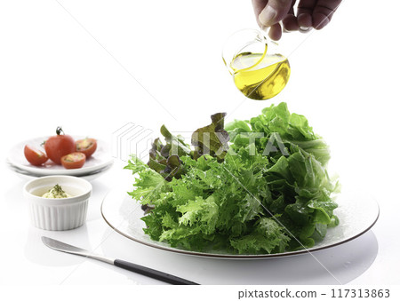Three types of fresh lettuce (green oak, red oak, green crispy) Three types of fresh lettuce (green oak, red oak, green crispy) 117313863