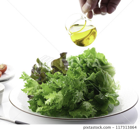 Three types of fresh lettuce (green oak, red oak, green crispy) Three types of fresh lettuce (green oak, red oak, green crispy) 117313864