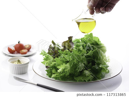 3種新鮮生菜（青橡、紅橡、綠脆） 117313865