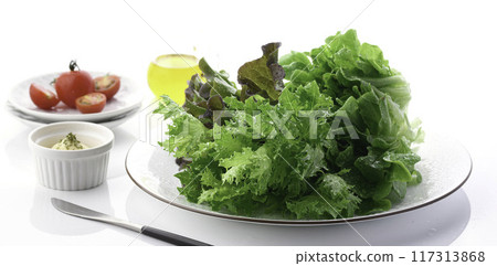 Three types of fresh lettuce (green oak, red oak, green crispy) 117313868