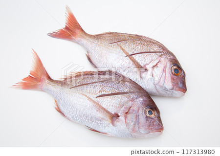 Red sea bream, cooked 117313980