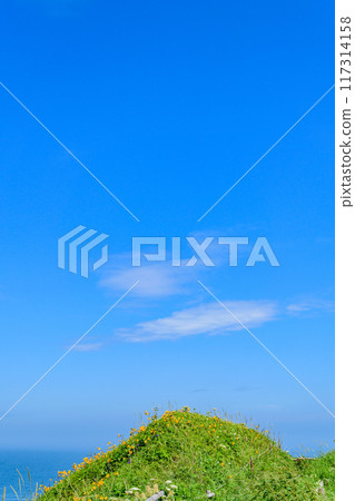 在藍天下漫步桐達布岬 117314158