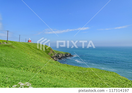 Walking around Cape Kiritappu under the blue sky Walking around Cape Kiritappu under the blue sky 117314197