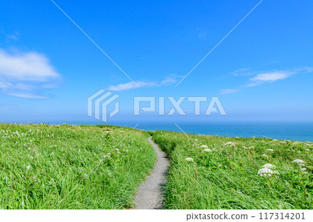 Walking around Cape Kiritappu under the blue sky 117314201