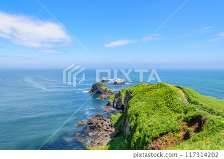 Walking around Cape Kiritappu under the blue sky 117314202