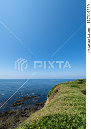 The sea seen from the heights of Jogashima, Kanagawa Prefecture The sea seen from the heights of Jogashima, Kanagawa Prefecture 117314739
