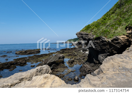 Scenery of Jogashima Coast, Kanagawa Prefecture 117314754