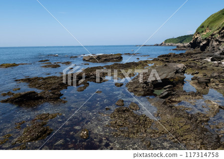 神奈川縣城島海岸風景 神奈川縣城島海岸風景 117314758