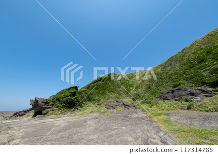 Scenery of Jogashima Coast, Kanagawa Prefecture Scenery of Jogashima Coast, Kanagawa Prefecture 117314788