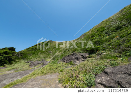 神奈川縣城島海岸風景 神奈川縣城島海岸風景 117314789