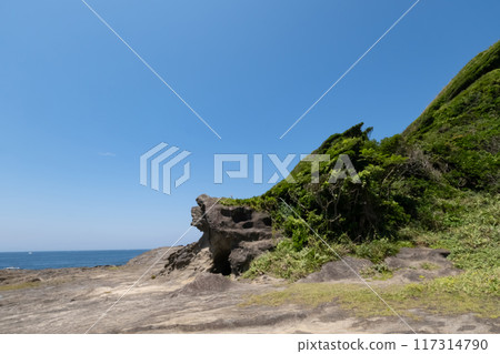 Scenery of Jogashima Coast, Kanagawa Prefecture Scenery of Jogashima Coast, Kanagawa Prefecture 117314790