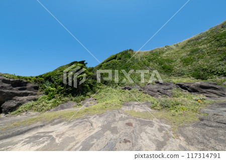 Scenery of Jogashima Coast, Kanagawa Prefecture 117314791