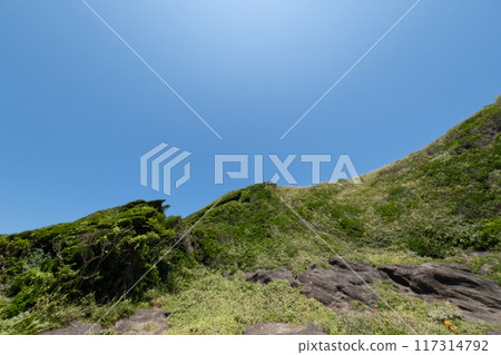 Scenery of Jogashima Coast, Kanagawa Prefecture 117314792