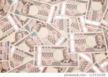 錢（新鈔） 117315109