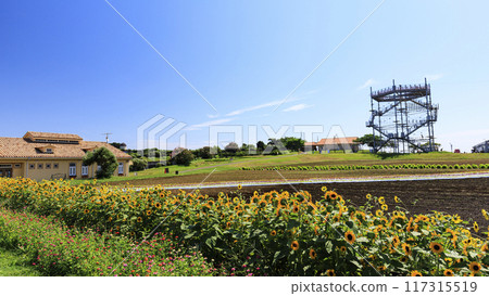 Summer on Soleil Hill (Sunflower fields, etc.) Summer on Soleil Hill (Sunflower fields, etc.) 117315519