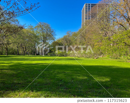 Hokkaido University Botanical Garden June 2024 117315623